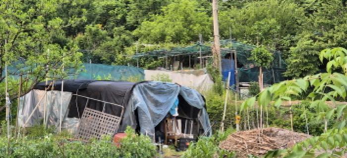 경기도 남양주시 별내면 용암리 590-3 전 경매 사진 8