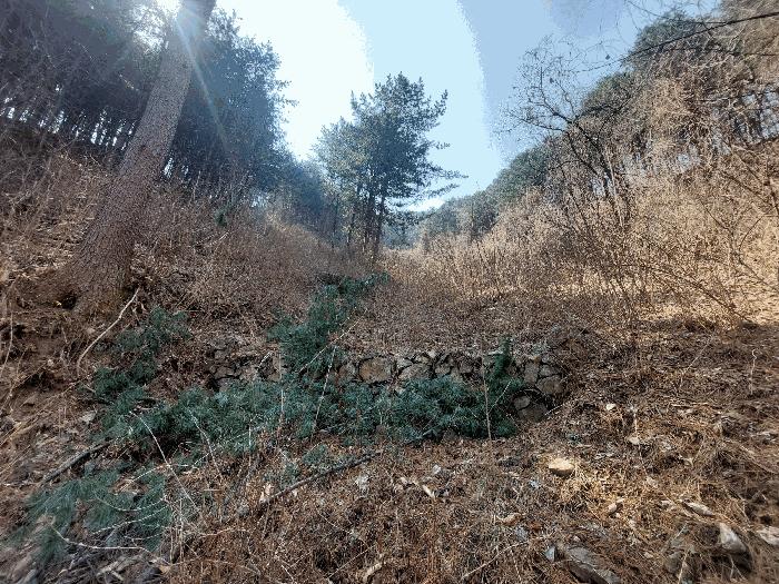 경기도 가평군 가평읍 금대리 산165-1 임야 경매 사진 2