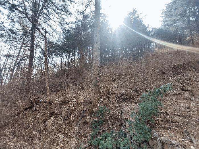 경기도 가평군 가평읍 금대리 산165-1 임야 경매 사진 3