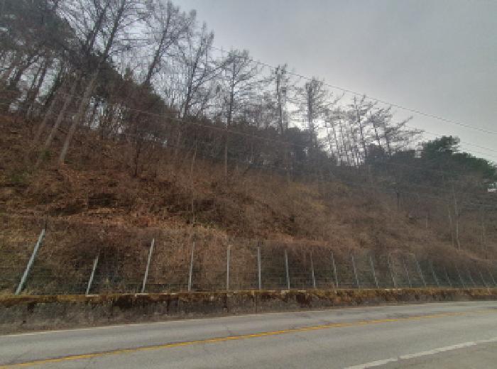 경기도 가평군 가평읍 금대리 산165-1 임야 경매 사진 6
