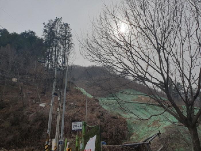 경기도 가평군 가평읍 금대리 산165-1 임야 경매 사진 8