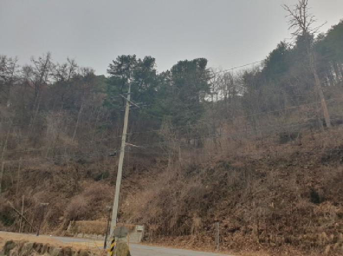 경기도 가평군 가평읍 금대리 산165-1 임야 경매 사진 9