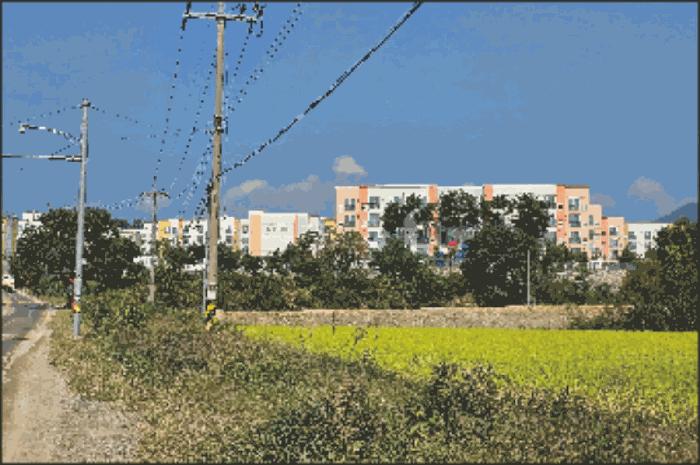 충청남도 천안시 동남구 다세대(빌라)