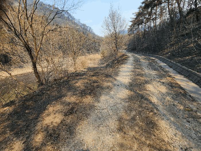 경상북도 의성군 점곡면 사촌리 29 답 경매 사진 17