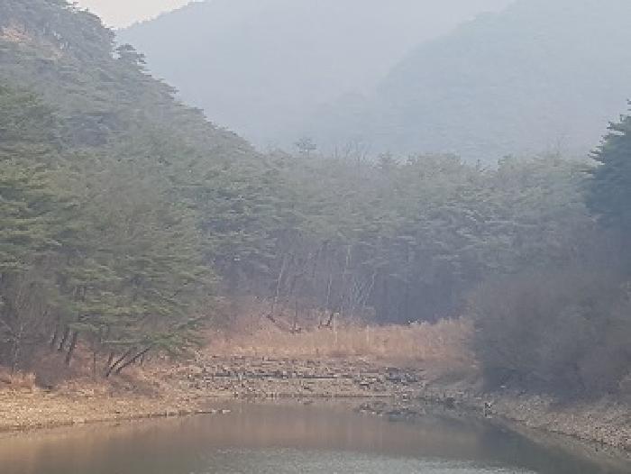 경상북도 의성군 점곡면 사촌리 29 답 경매 사진 19