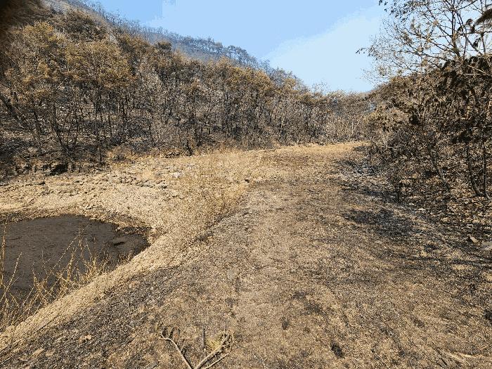 경상북도 의성군 점곡면 사촌리 29 답 경매 사진 2