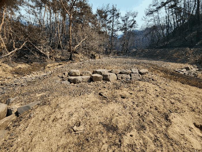 경상북도 의성군 점곡면 사촌리 29 답 경매 사진 9