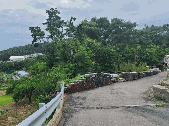 세종특별자치시 장군면 대교리 79-151 임야 경매 사진 12