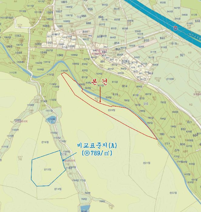 경상북도 영천시 임고면 사리 산20 임야 경매 사진 8