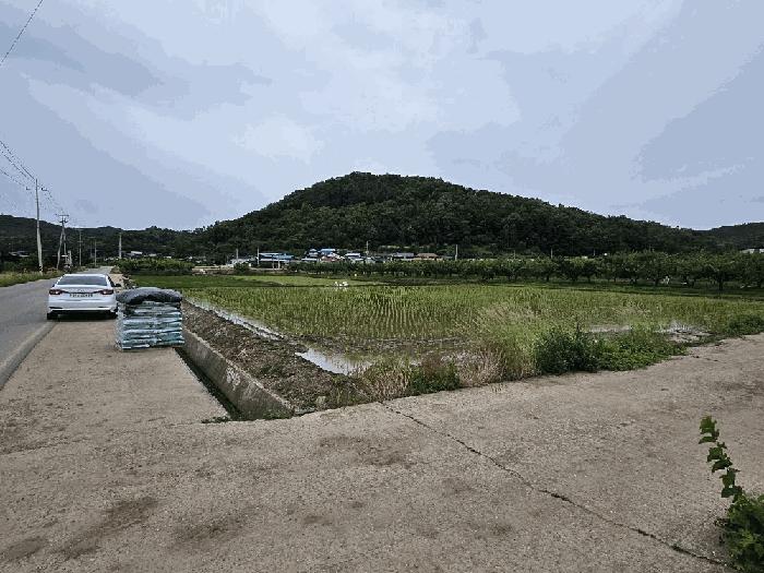 경상북도 의성군 봉양면 삼산리 604 답 경매 사진 2