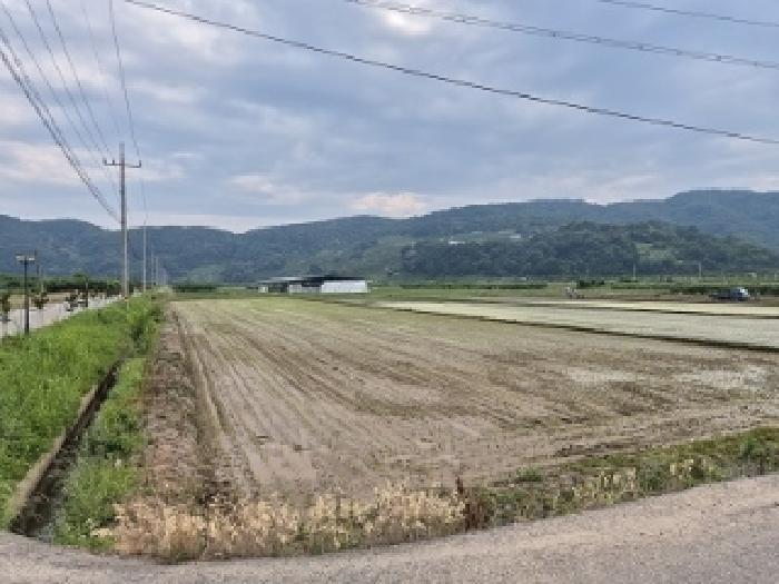 경상북도 의성군 봉양면 삼산리 604 답 경매 사진 6