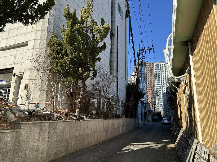 부산광역시 사하구 장림동 317-32 공장용지 경매 사진 4