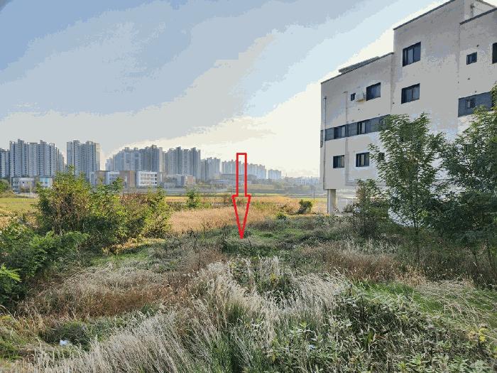 충청남도 아산시 둔포면 운용리 337-166 임야 경매 사진 11
