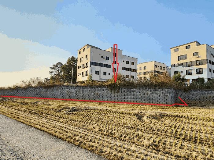 충청남도 아산시 둔포면 운용리 337-166 임야 경매 사진 3