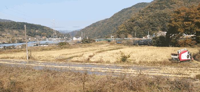 충청남도 금산군 답