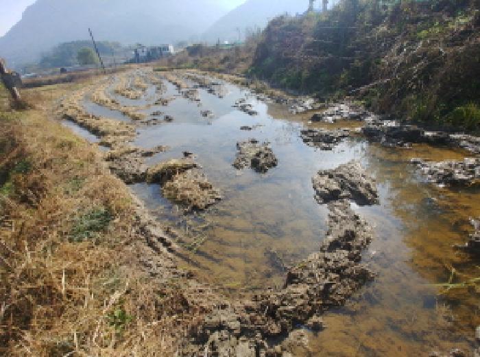 충청남도 금산군 추부면 성당리 620-1 답 경매 사진 10