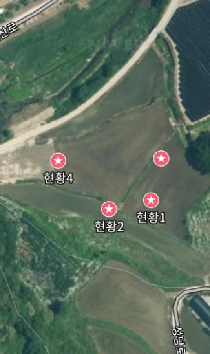 충청남도 금산군 추부면 성당리 620-1 답 경매 사진 11