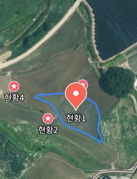 충청남도 금산군 추부면 성당리 620-1 답 경매 사진 12
