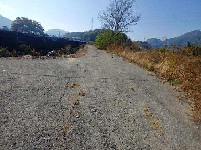 충청남도 금산군 추부면 성당리 620-1 답 경매 사진 18