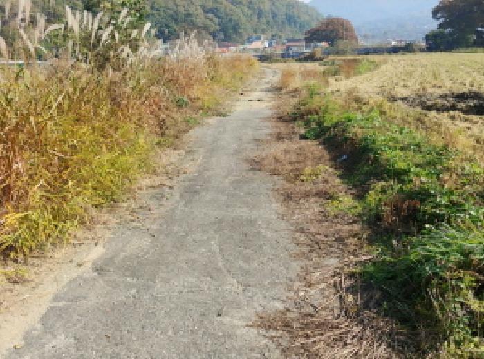 충청남도 금산군 추부면 성당리 620-1 답 경매 사진 19