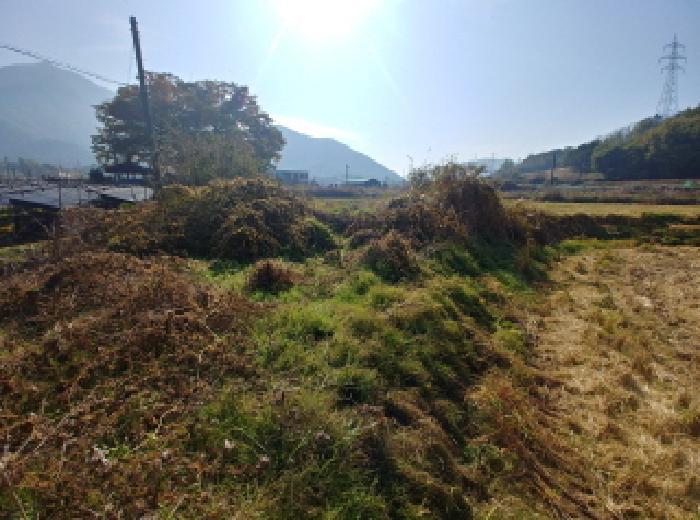 충청남도 금산군 추부면 성당리 620-1 답 경매 사진 20