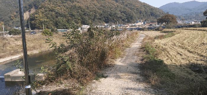 충청남도 금산군 추부면 성당리 620-1 답 경매 사진 4