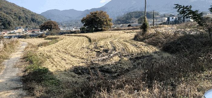 충청남도 금산군 추부면 성당리 620-1 답 경매 사진 5