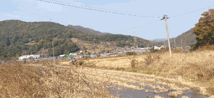 충청남도 금산군 추부면 성당리 620-1 답 경매 사진 8