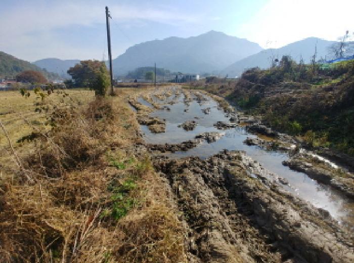 충청남도 금산군 추부면 성당리 620-1 답 경매 사진 9