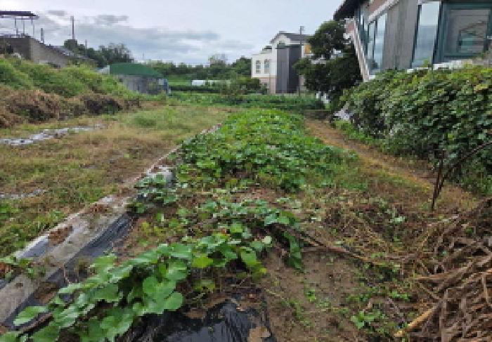 충청남도 아산시 염치읍 방현리 538 대지 경매 사진 13