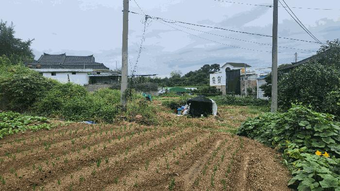 충청남도 아산시 염치읍 방현리 538 대지 경매 사진 4