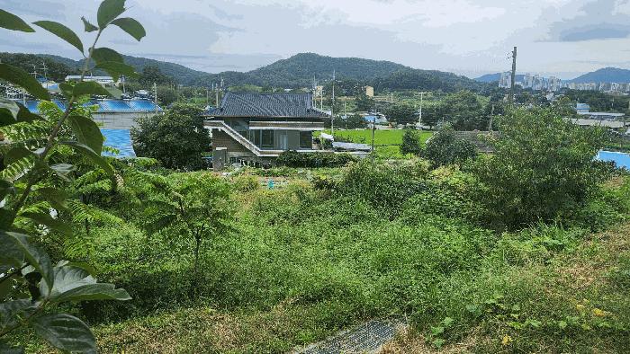 충청남도 아산시 염치읍 방현리 538 대지 경매 사진 5