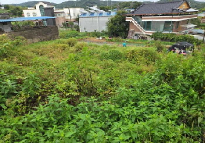 충청남도 아산시 염치읍 방현리 538 대지 경매 사진 9