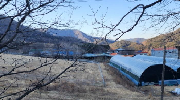 울산광역시 울주군 두서면 미호리 678 전 경매 사진 2