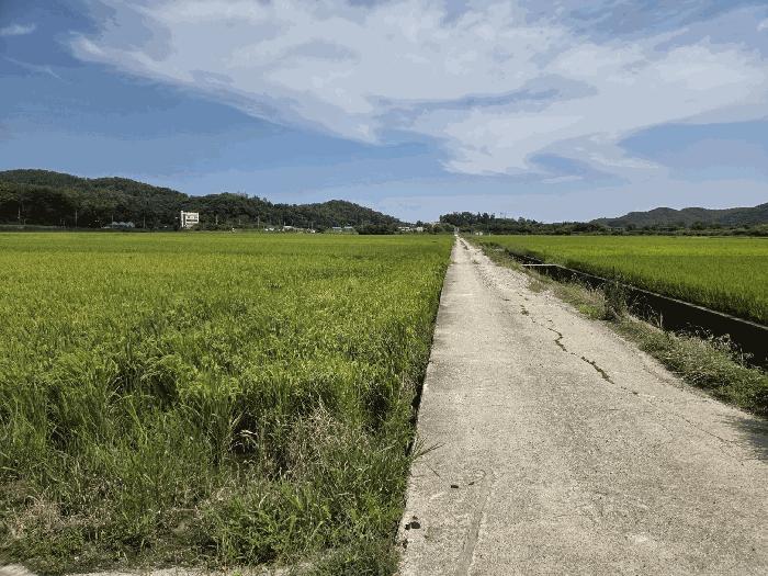 울산광역시 울주군 온양읍 동상리 236 답 경매 사진 4