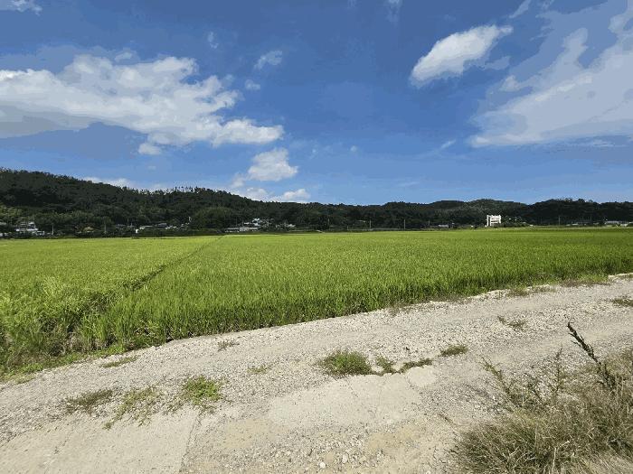 울산광역시 울주군 온양읍 동상리 236 답 경매 사진 7