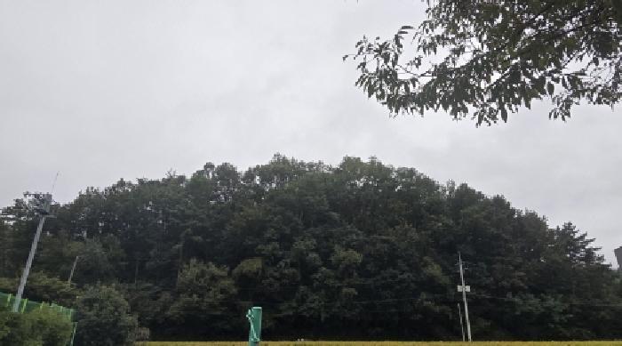 울산광역시 울주군 범서읍 천상리 산76 임야 경매 사진 4