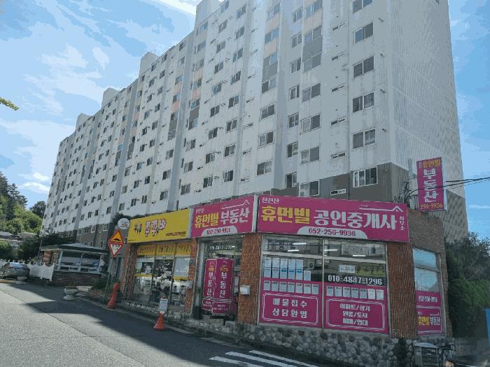울산광역시 남구 선암동 589-4 남양그린빌아파트 101동 5층509호 아파트 경매 사진 1