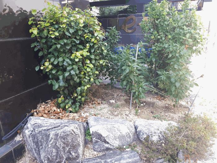 울산광역시 남구 삼산동 1641-5 숙박시설 경매 사진 2