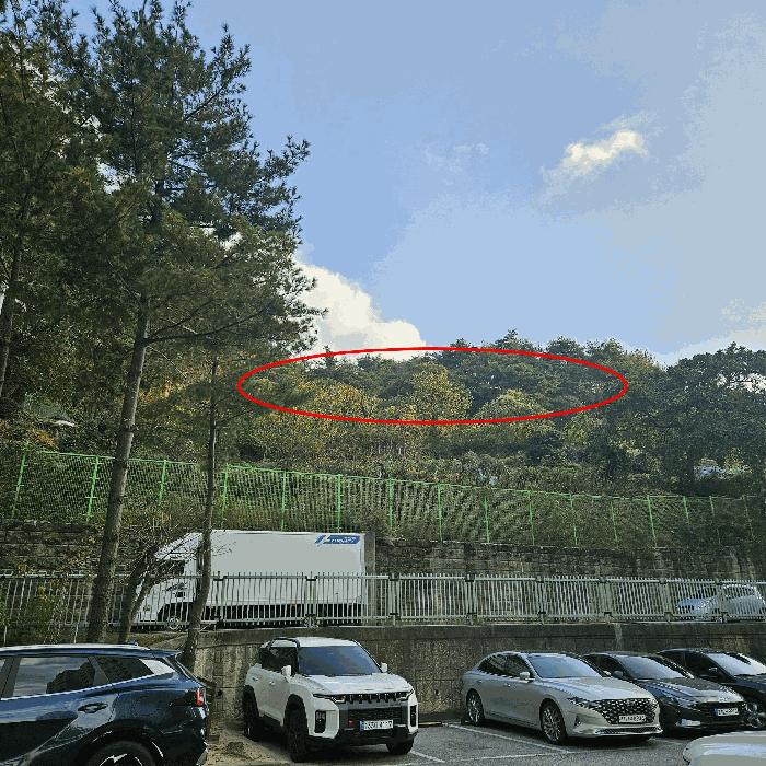 경상남도 양산시 상북면 소석리 573-1 임야 경매 사진 1