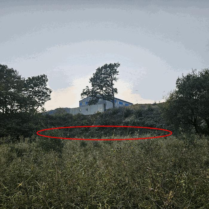 경상남도 양산시 상북면 소석리 573-1 임야 경매 사진 12