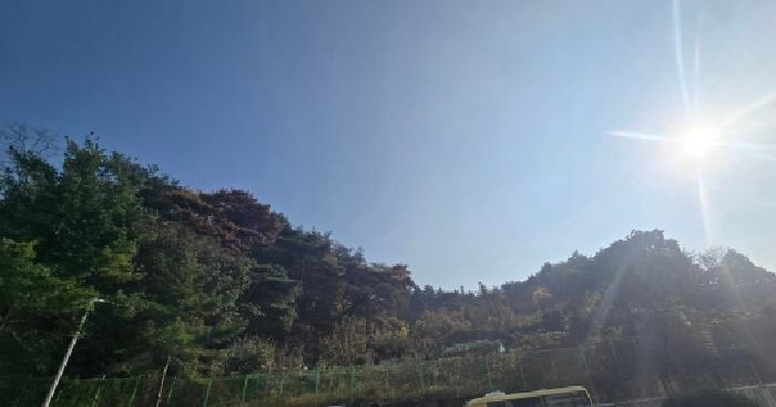 경상남도 양산시 상북면 소석리 573-1 임야 경매 사진 13