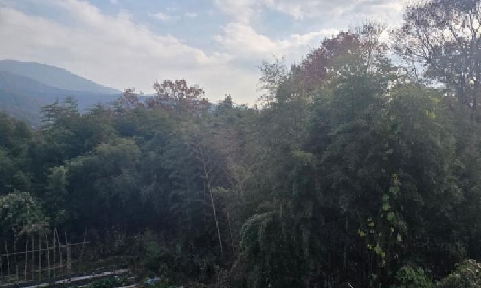 경상남도 양산시 상북면 소석리 573-1 임야 경매 사진 14