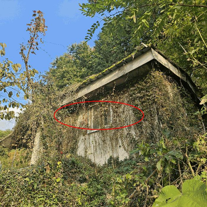경상남도 양산시 상북면 소석리 573-1 임야 경매 사진 2