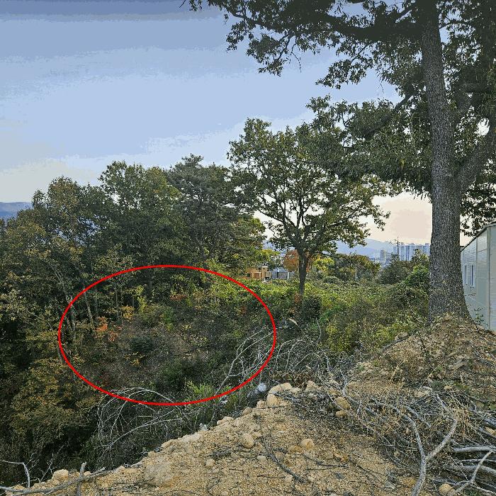 경상남도 양산시 상북면 소석리 573-1 임야 경매 사진 6