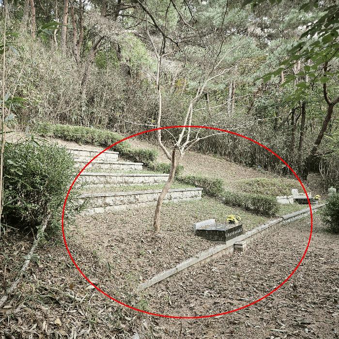 경상남도 양산시 상북면 소석리 573-1 임야 경매 사진 9