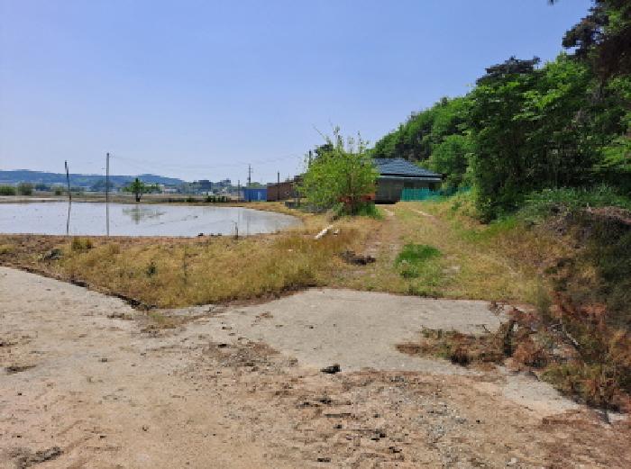 충청남도 당진시 순성면 백석리 335 주택 경매 사진 14