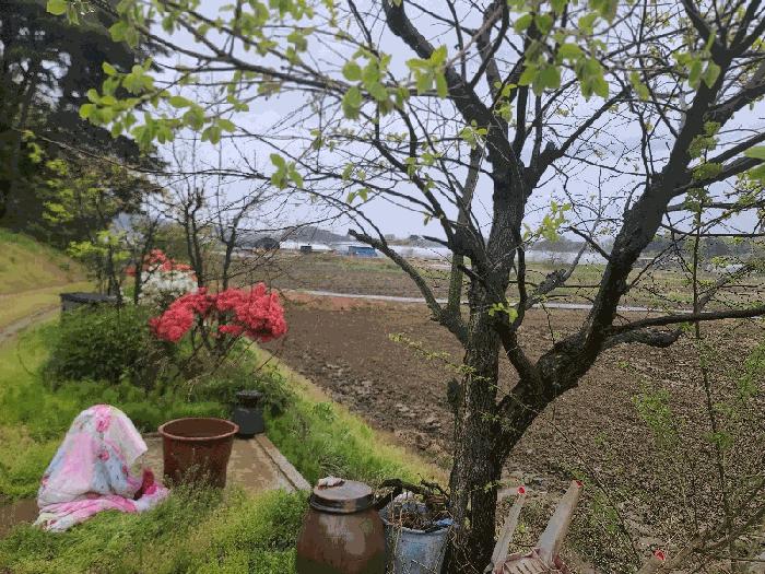 충청남도 당진시 순성면 백석리 335 주택 경매 사진 9