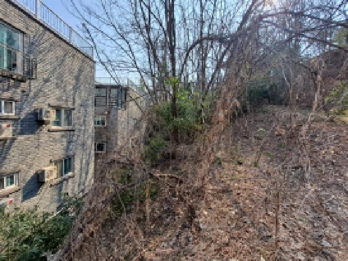 충청남도 당진시 읍내동 59-8 잡종지 경매 사진 18