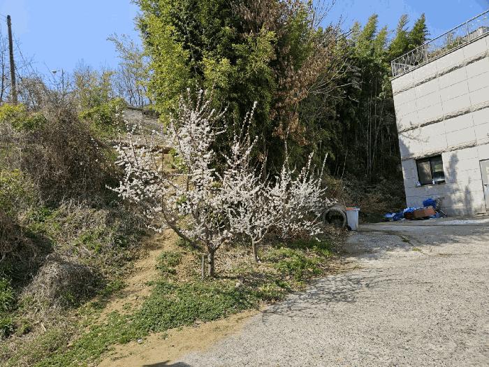 충청남도 당진시 읍내동 59-8 잡종지 경매 사진 5